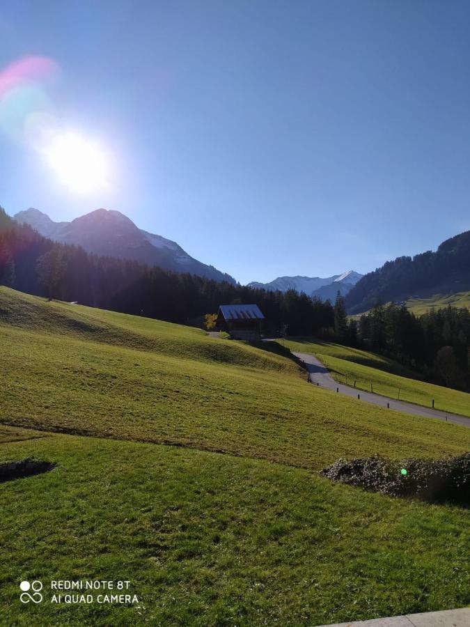 Ferienhaus Schwendle Villa Mittelberg Ngoại thất bức ảnh